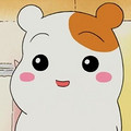 蒋旭斐