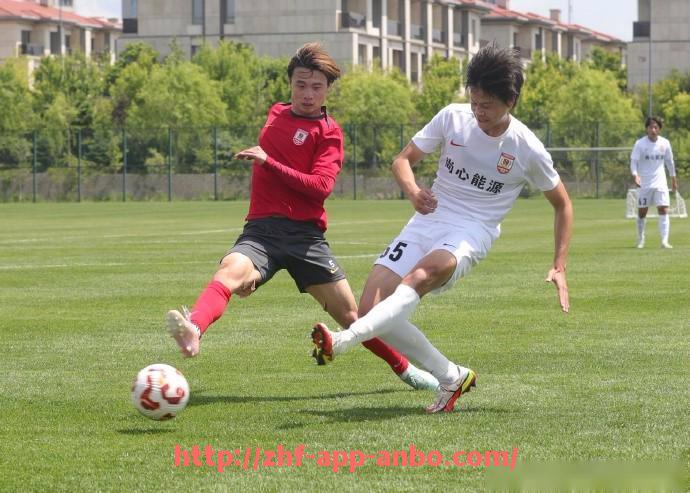 安博体育app下载-实况2020德甲球队：实况足球2020版中德甲球队的表现与更新